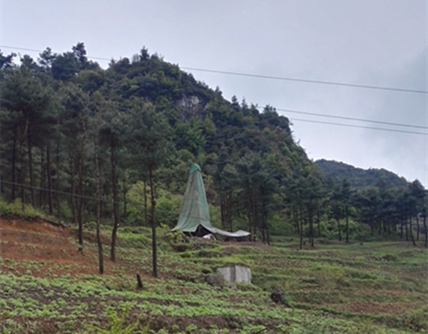 把脈“黔”鋅地，問診開良方